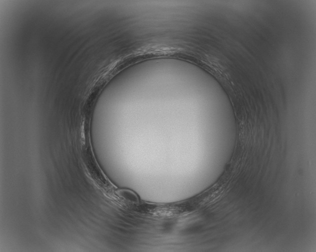 X0000054420358200507290932