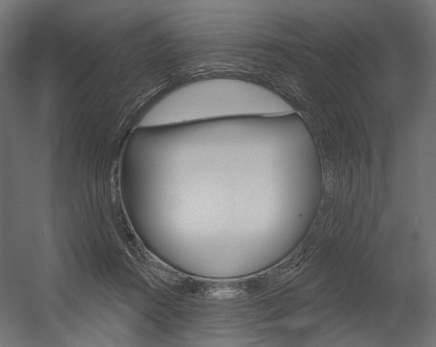 X0000054420360200507290932