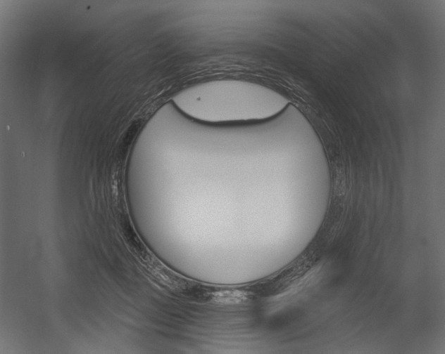 X0000054420363200507290932