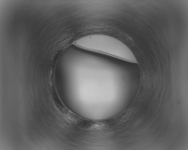 X0000054420364200507290932