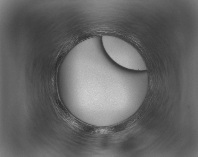 X0000054420365200507290932