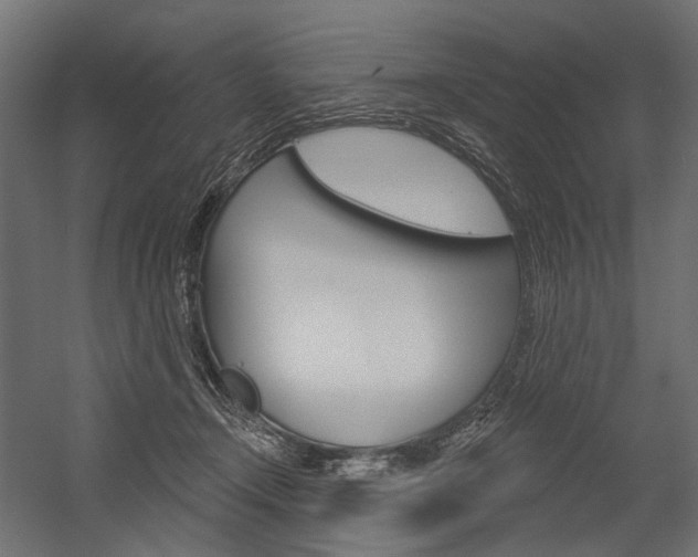 X0000054420366200507290932