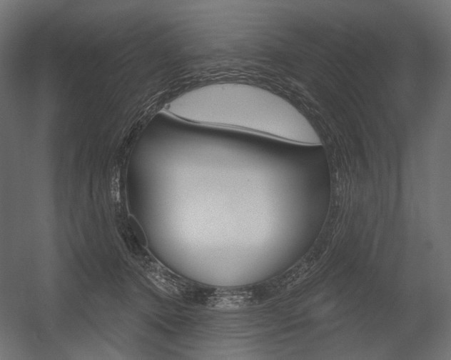 X0000054420368200507290932