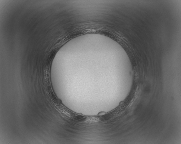 X0000054420369200507290932