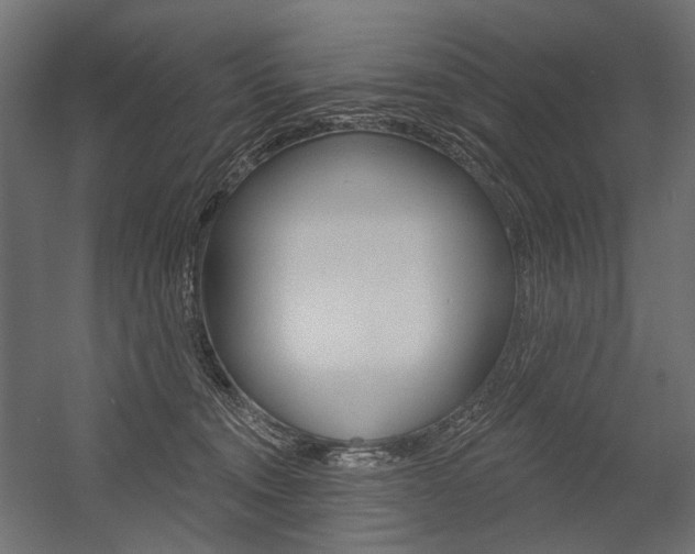 X0000054420372200507290932