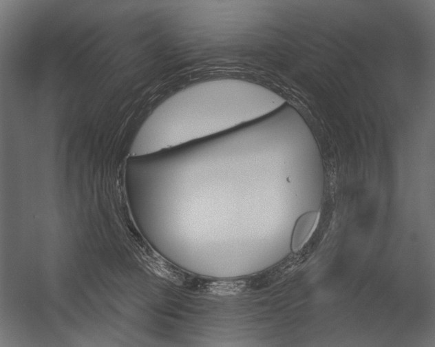 X0000054420373200507290932