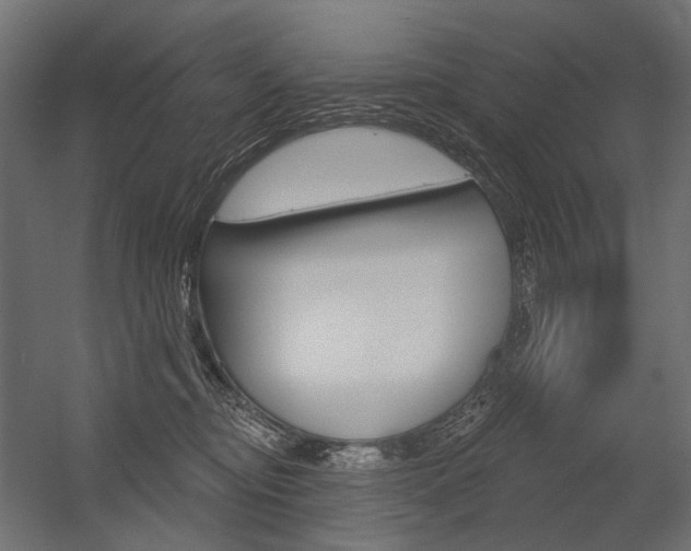 X0000054420374200507290932