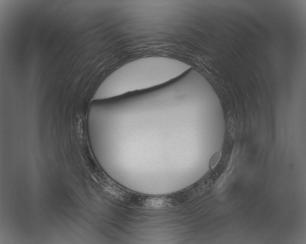 X0000054420375200507290932