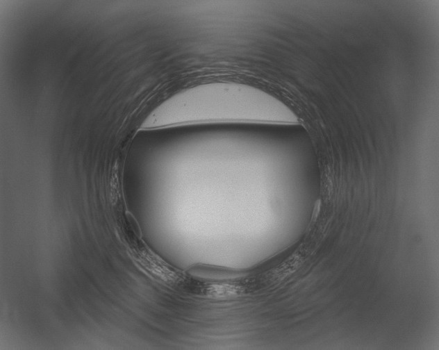 X0000054420376200507290932