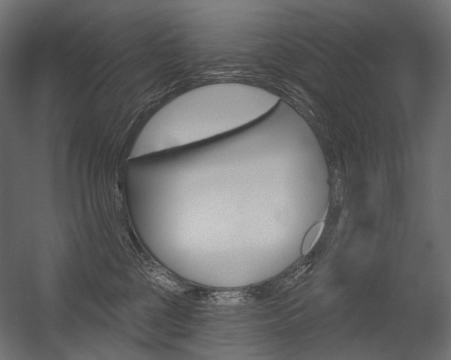 X0000054420377200507290932