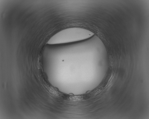 X0000054420378200507290932