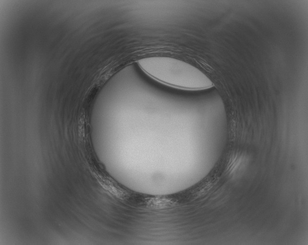 X0000054420379200507290932