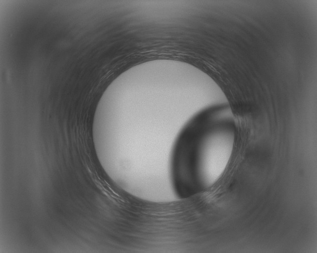 X0000054420380200507290932