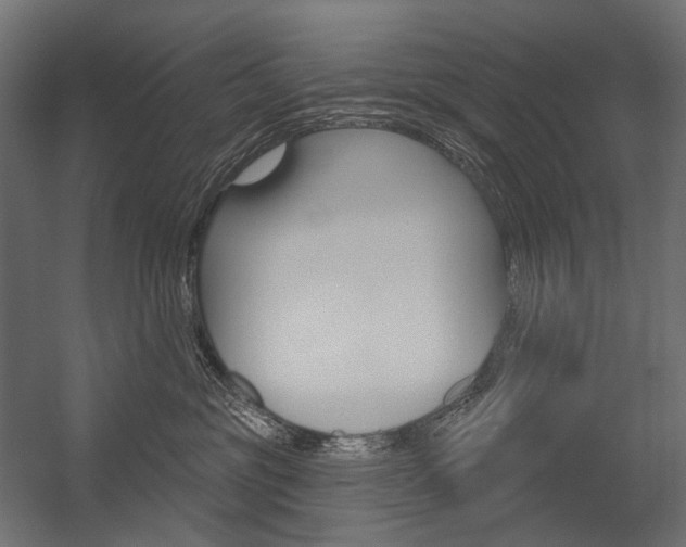 X0000054420381200507290932