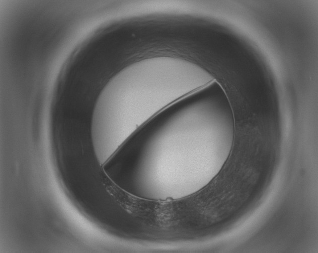 X0000054420382200507290932