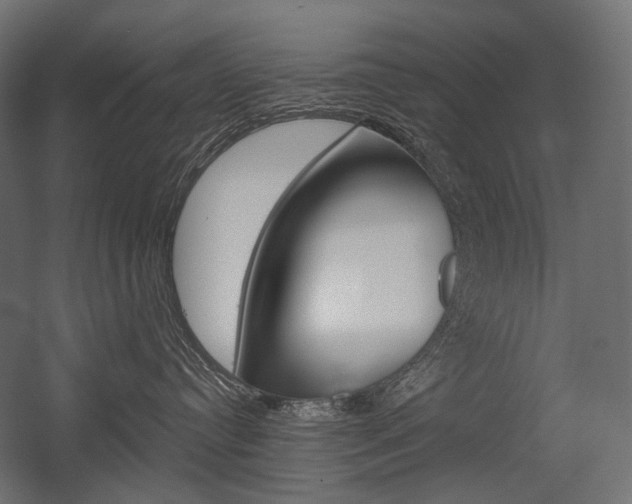 X0000054420384200507290932