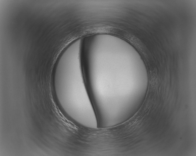 X0000054420386200507290931