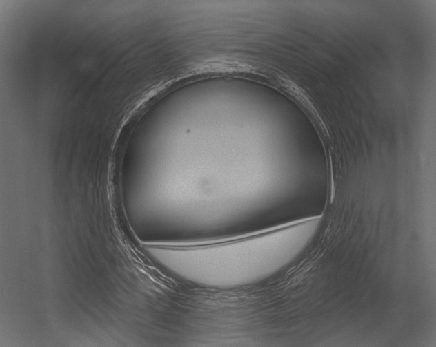 X0000054420387200507290931