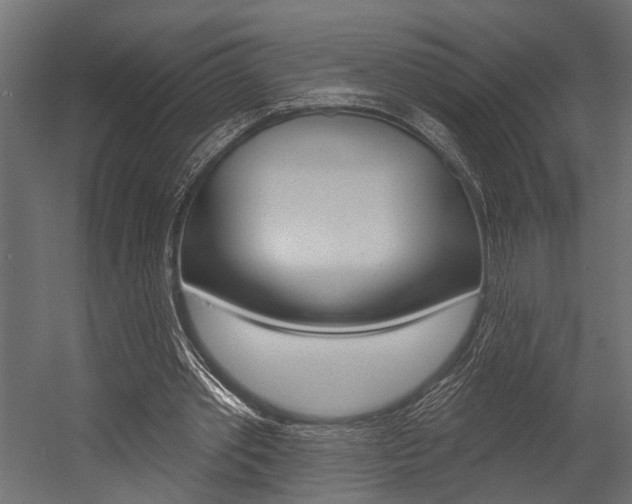 X0000054420389200507290931