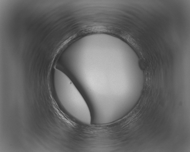 X0000054420390200507290931