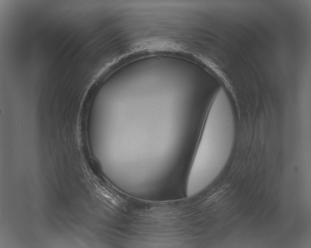 X0000054420391200507290931