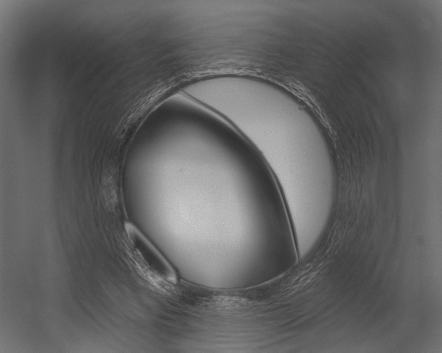X0000054420393200507290931