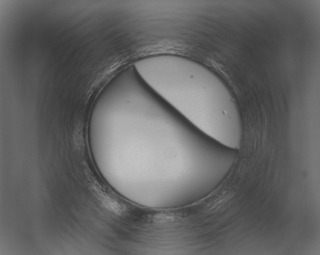 X0000054420394200507290931