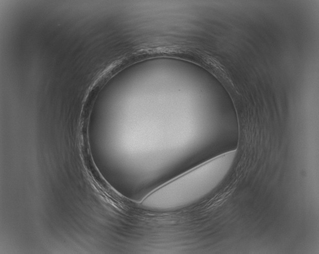 X0000054420395200507290931