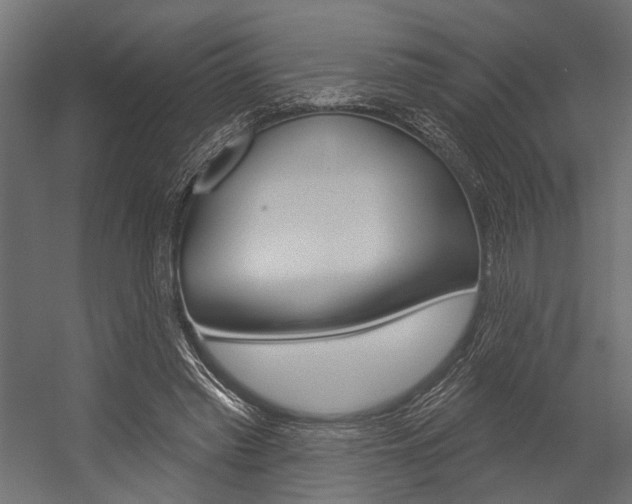 X0000054420397200507290931