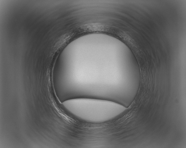 X0000054420398200507290931