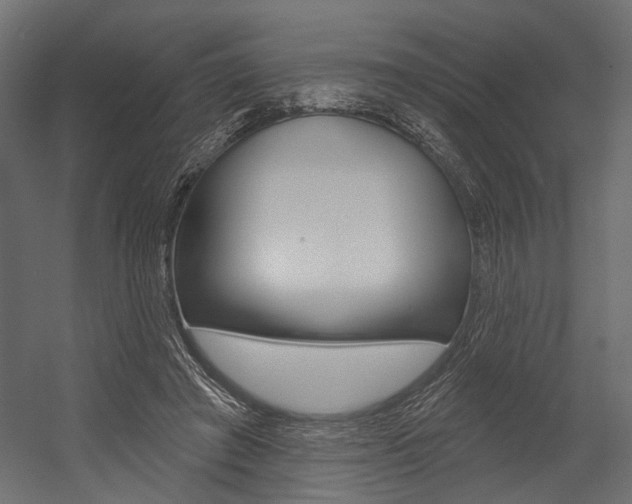 X0000054420401200507290931