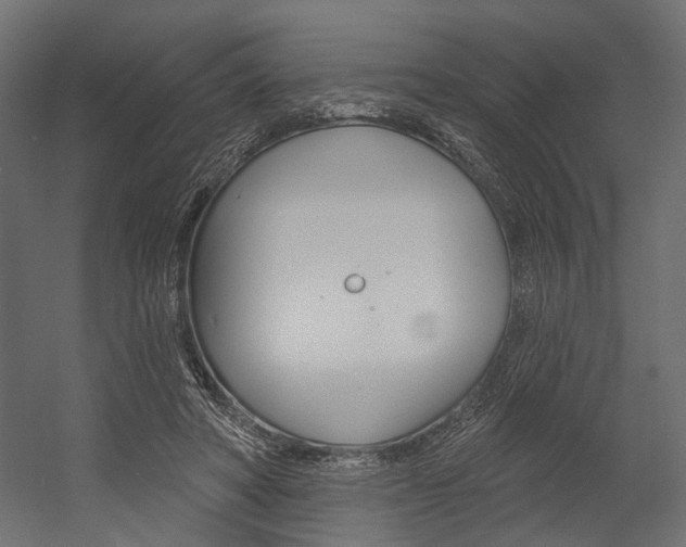 X0000054420402200507290931