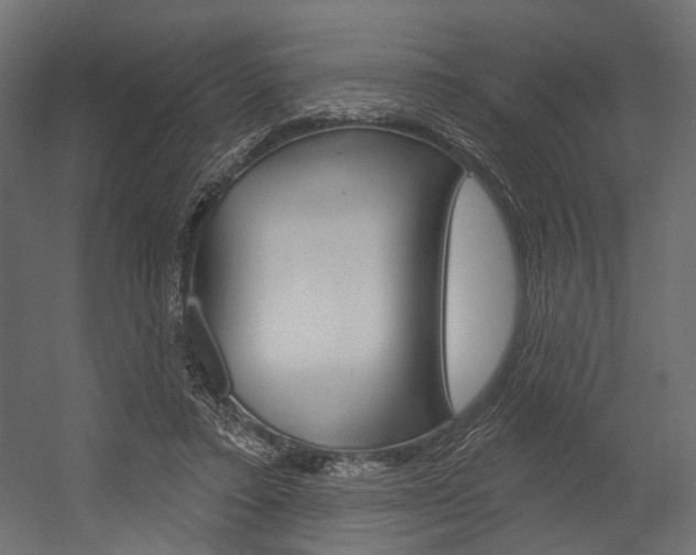 X0000054420403200507290931