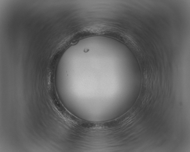 X0000054420404200507290931