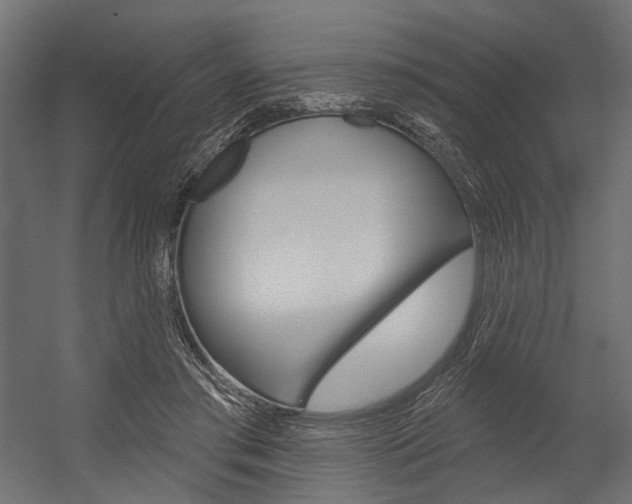 X0000054420405200507290931