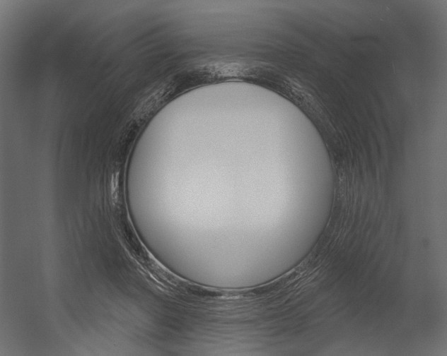 X0000054420406200507290931