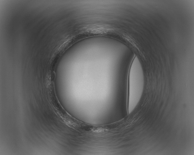 X0000054420407200507290931