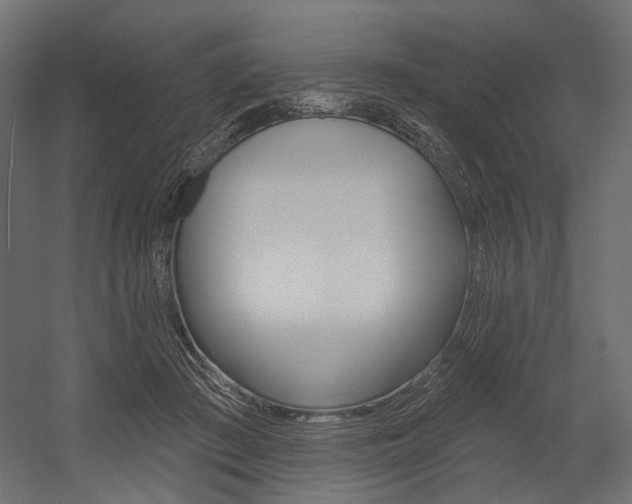 X0000054420409200507290931