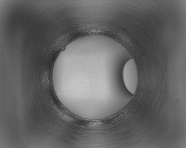 X0000054420410200507290931