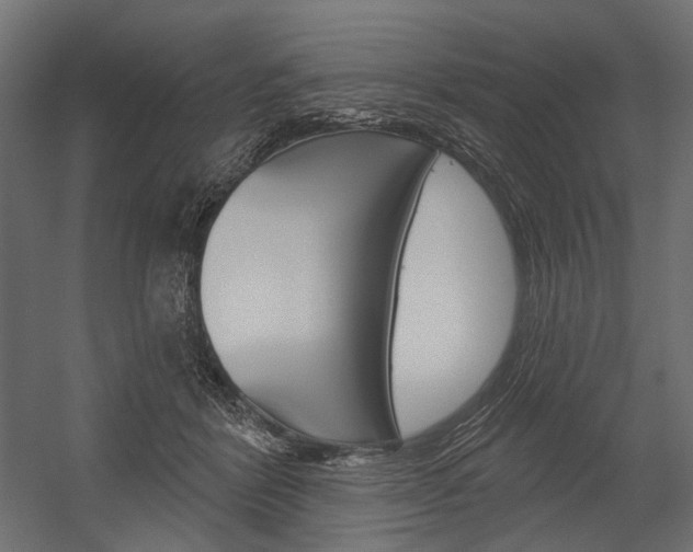X0000054420412200507290931