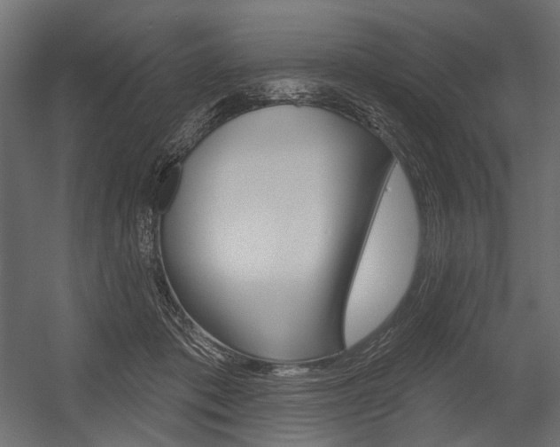X0000054420413200507290931