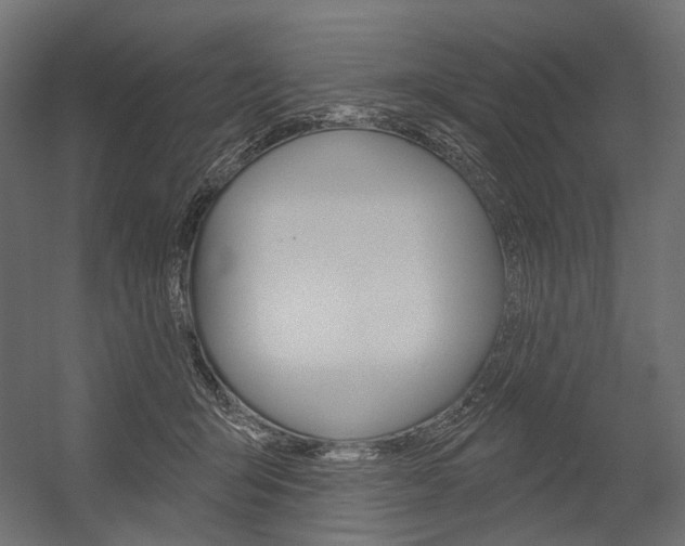 X0000054420415200507290931
