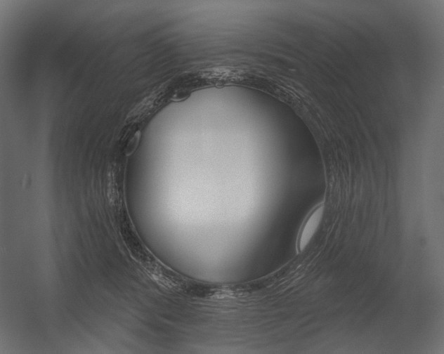 X0000054420416200507290931