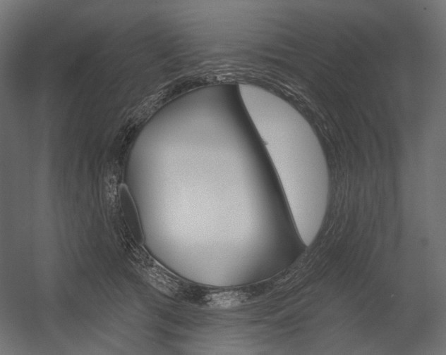 X0000054420417200507290931