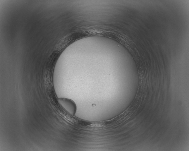 X0000054420418200507290931