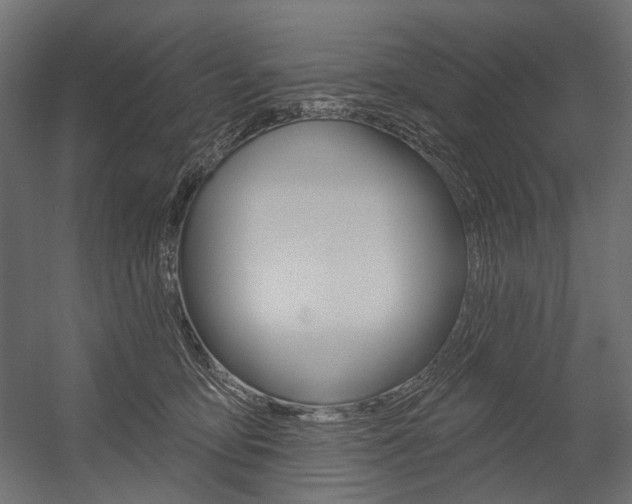 X0000054420419200507290931