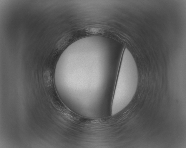 X0000054420420200507290931