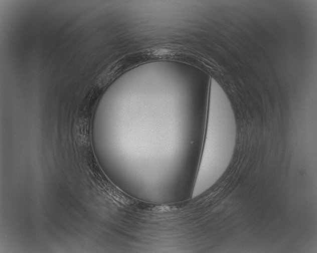 X0000054420421200507290931