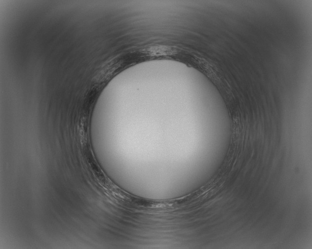 X0000054420422200507290931