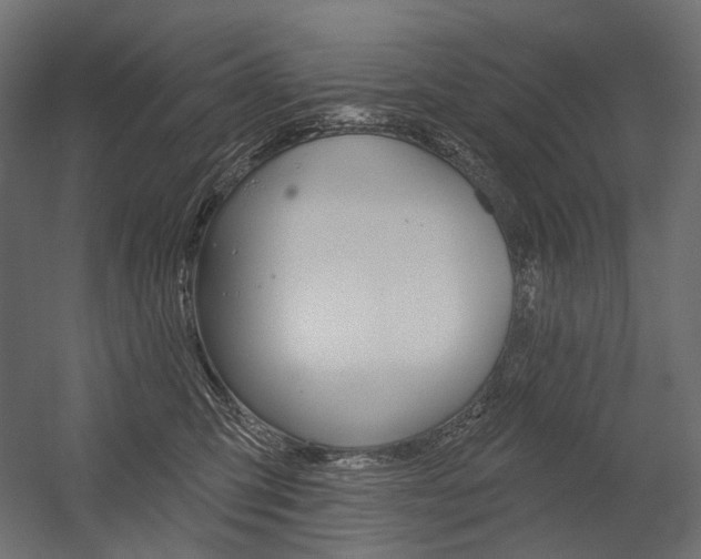 X0000054420423200507290931